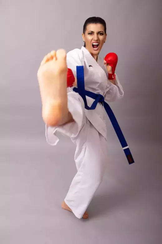 טורנירי הקראטה הגדולים בעולם